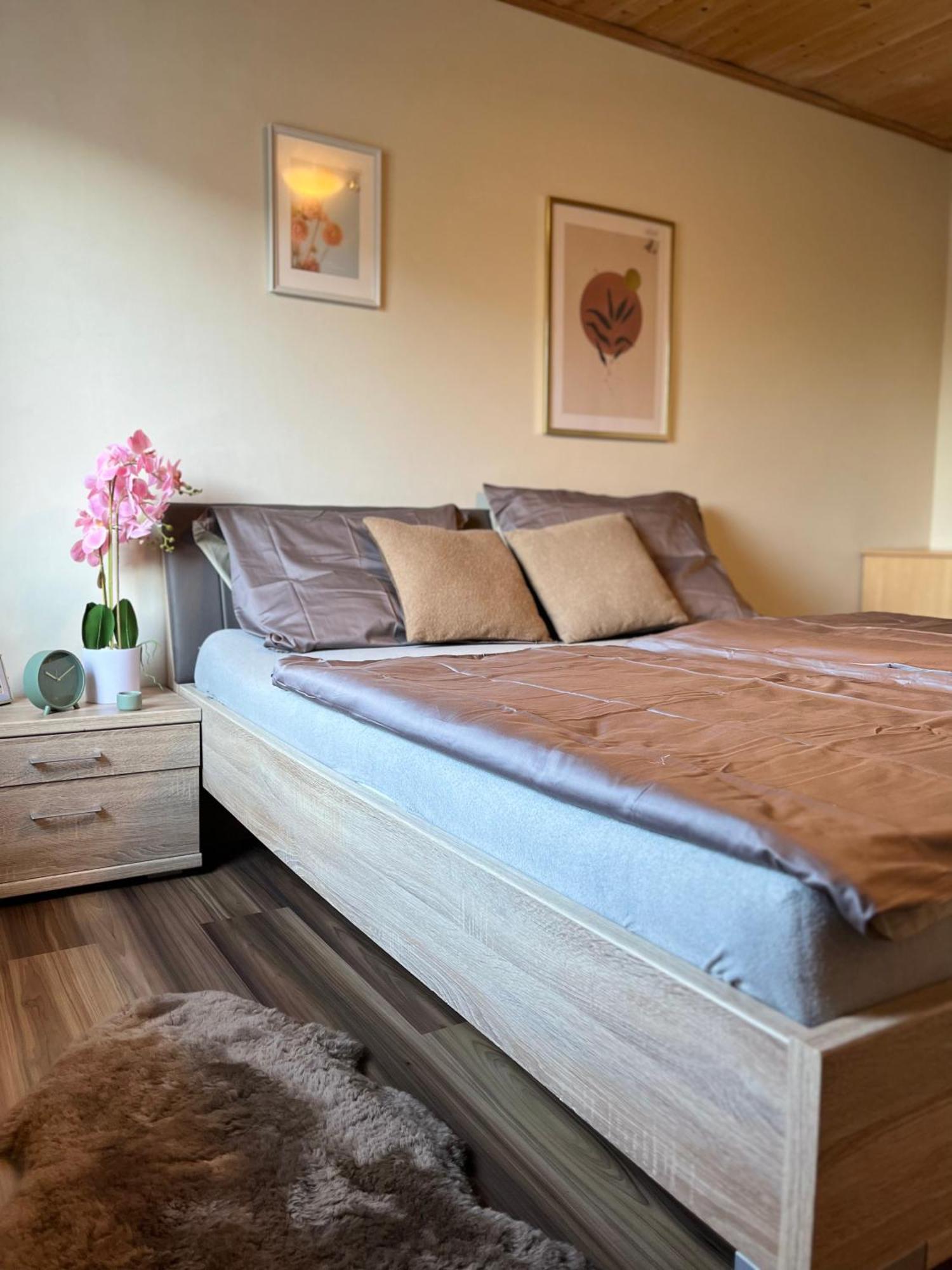 Gemuetliche Wohnung/ Cozy Apartment Niklasdorf Buitenkant foto