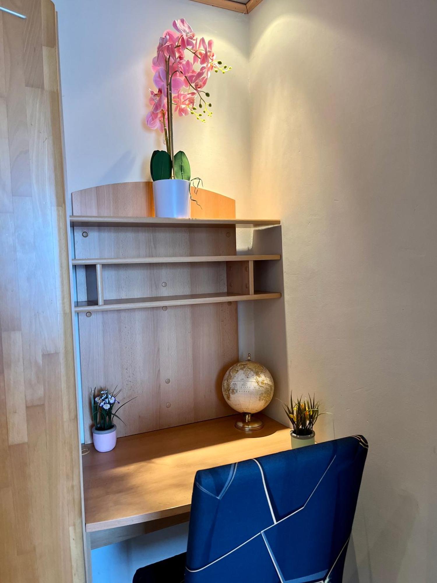 Gemuetliche Wohnung/ Cozy Apartment Niklasdorf Buitenkant foto